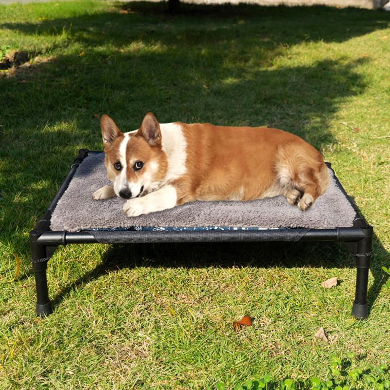 Erhöhtes Hundebett für den Auß – Camping Cot Foldable Bewertung und Preis