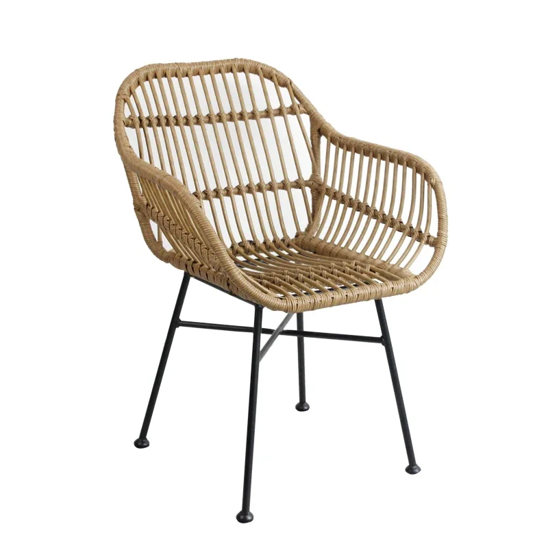 Nordische Esszimmerstühle für  – Outdoor Furniture Iron Bewertung und Preis