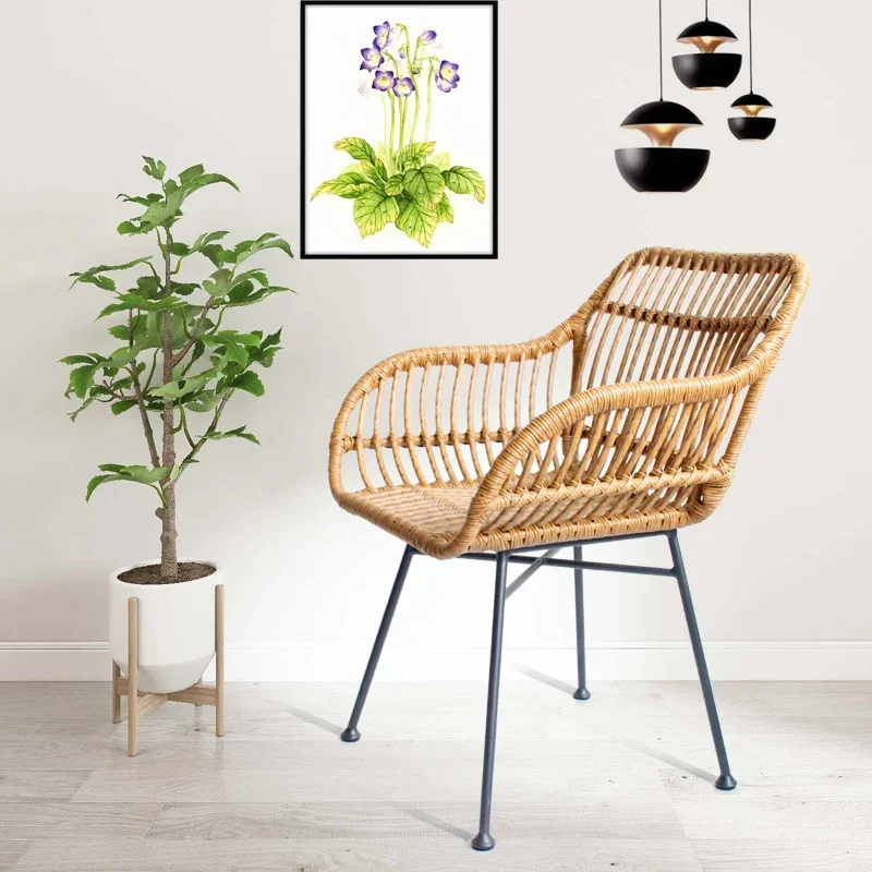 Nordische Esszimmerstühle für  – Outdoor Furniture Iron Bewertung und Preis